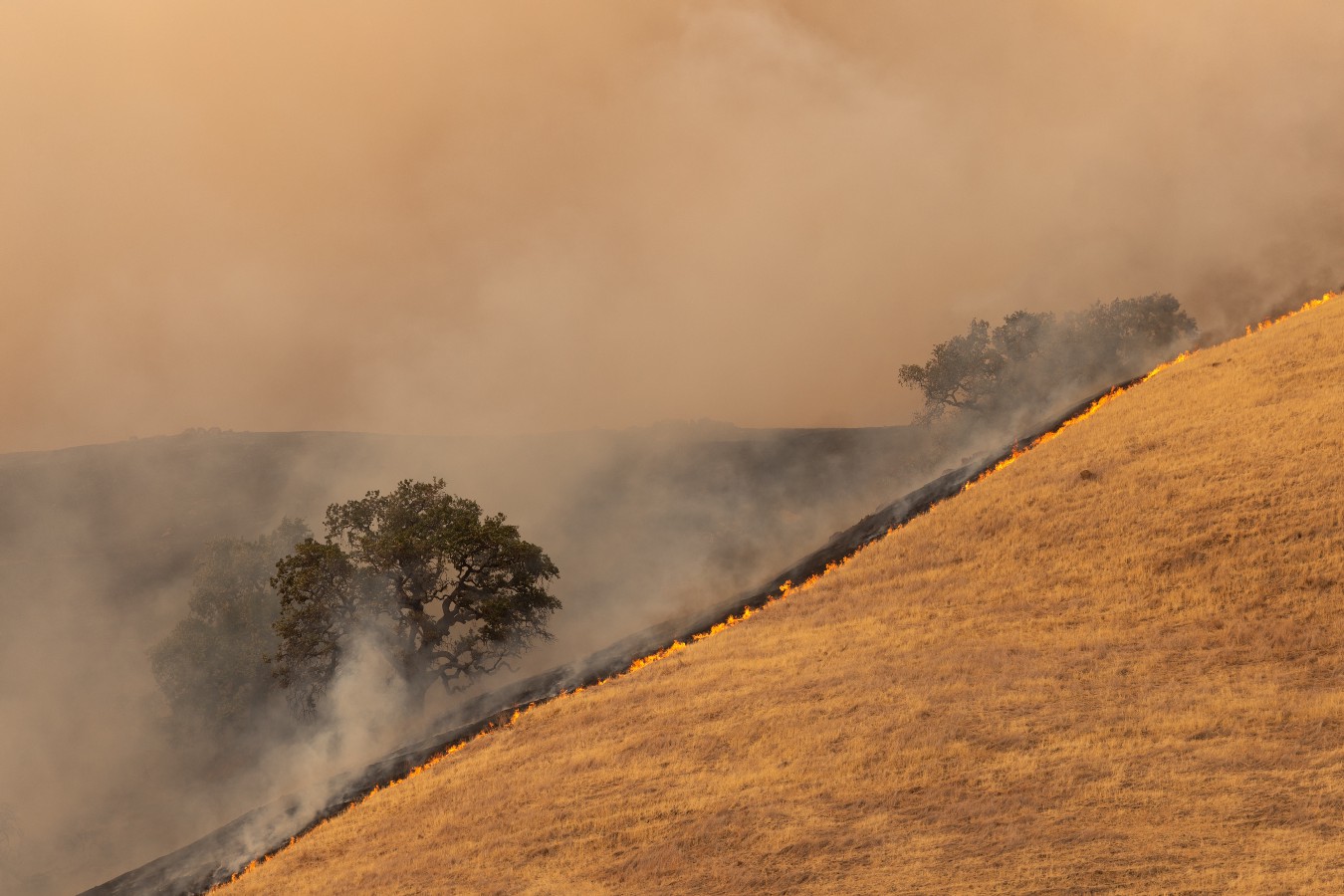 Smoke from LNU Lightning Complex Fire in Fairfield California